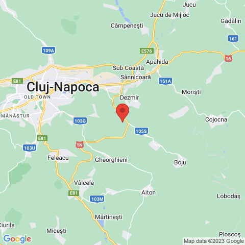 Cluj-Napoca, Cluj