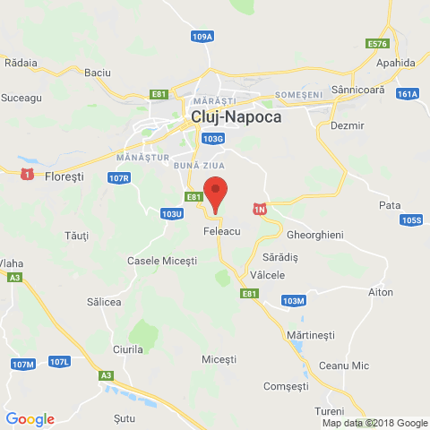 Feleacu, Cluj