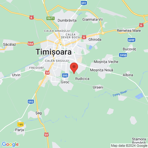 Timisoara, Timis