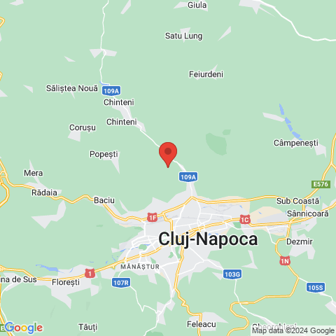 Cluj-Napoca, Cluj