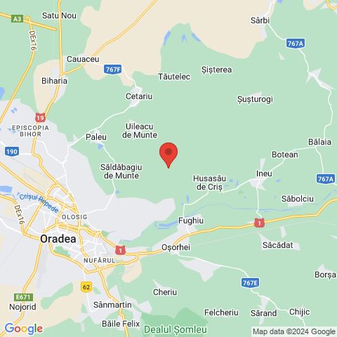 Saldabagiu de Munte, Bihor