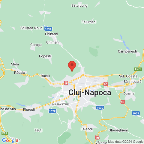 Cluj-Napoca, Cluj