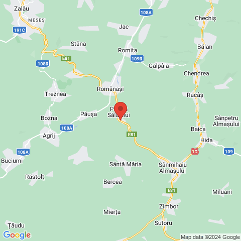 Poarta Salajului, Salaj