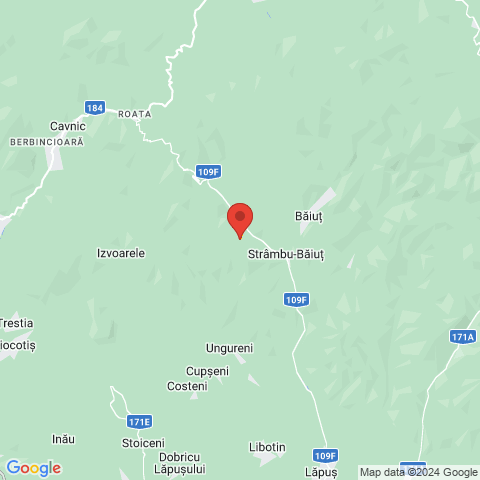 Strambu-Baiut, Maramures