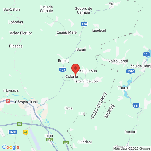 Tritenii de Jos, Cluj