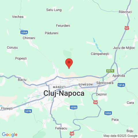Cluj-Napoca, Cluj
