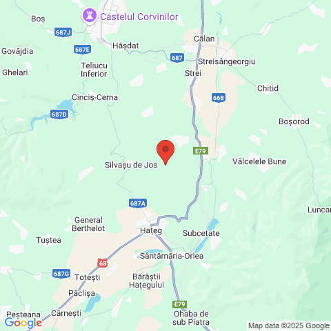 Silvasu de Jos, Hunedoara