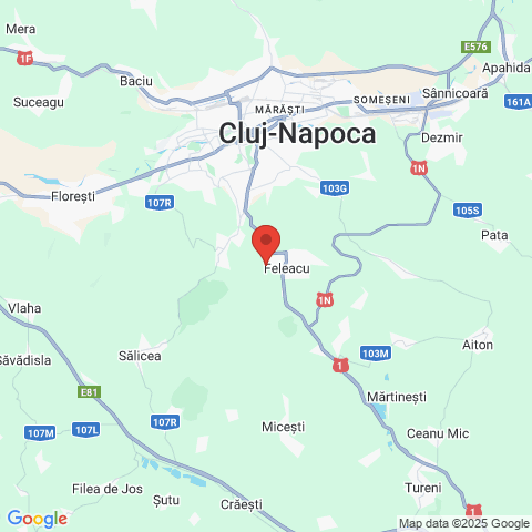 Feleacu, Cluj