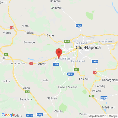 Cluj-Napoca, Cluj