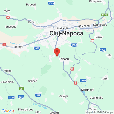 Feleacu ( zona wonderland/balta Feleacu), Cluj