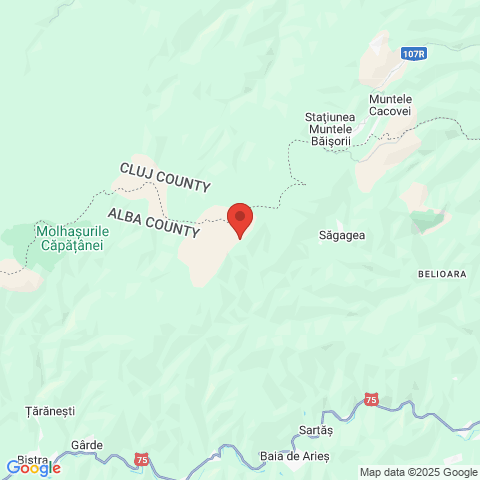 Muntele Baisorii, Cluj