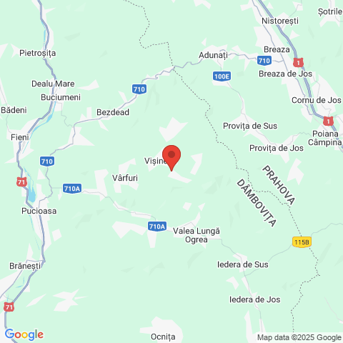 Visinesti, Dambovita