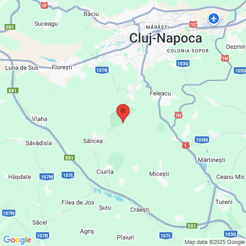 Casele Micesti, Cluj