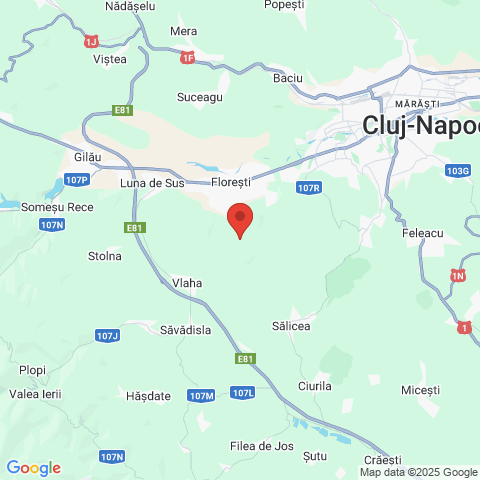 Floresti, Cluj
