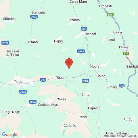 Valea Mare de Codru, Bihor