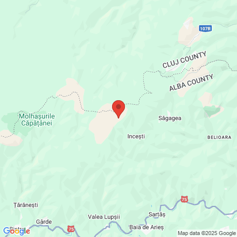 Muntele Baisorii, Cluj