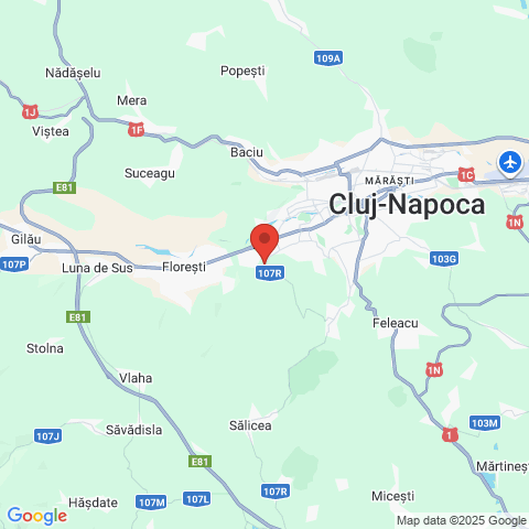 Cluj-Napoca, Cluj