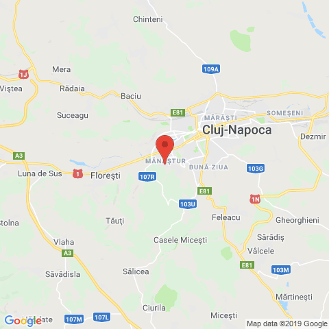 Cluj-Napoca, Cluj