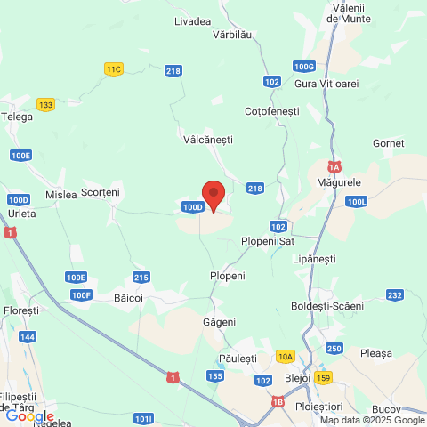 Cocorastii Mislii, Prahova