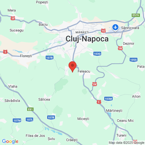 Cluj-Napoca, Cluj