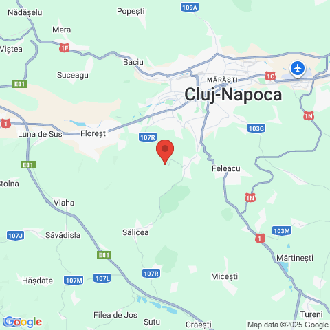 Cluj-Napoca, Cluj