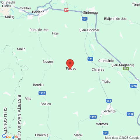 Feleac, Bistrita-Nasaud