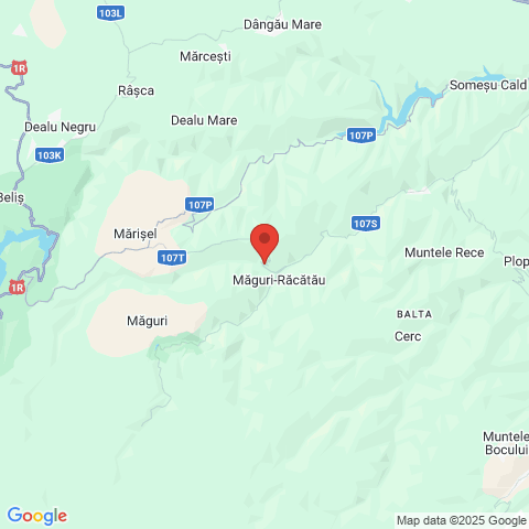 Măguri Racatau, Cluj