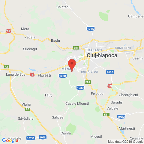 Cluj-Napoca, Cluj