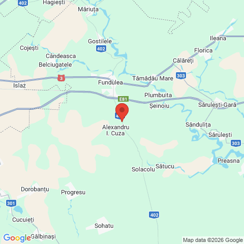 Alexandru I. Cuza, Calarasi