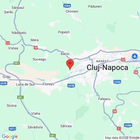 Cluj-Napoca, Cluj