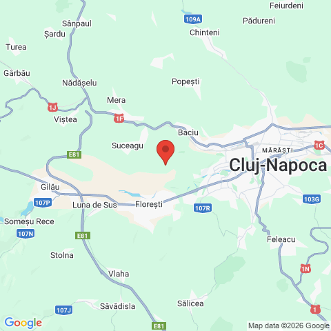 Cluj-Napoca, Cluj