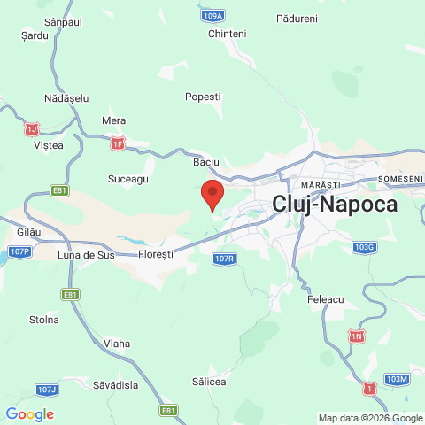 Cluj-Napoca, Cluj