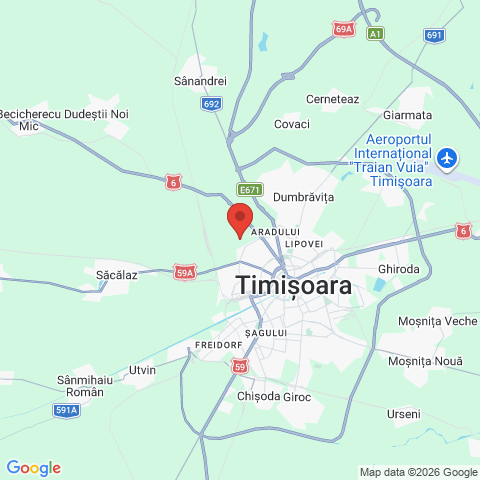 Timisoara, Timis