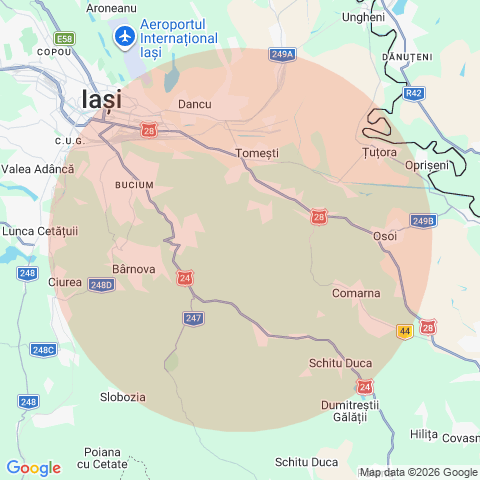 Vladiceni, Iasi