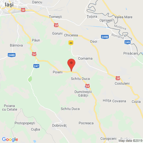 Poieni, Iasi
