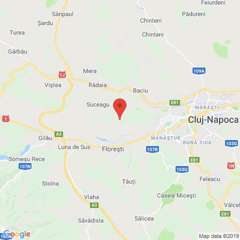 Floresti, Cluj