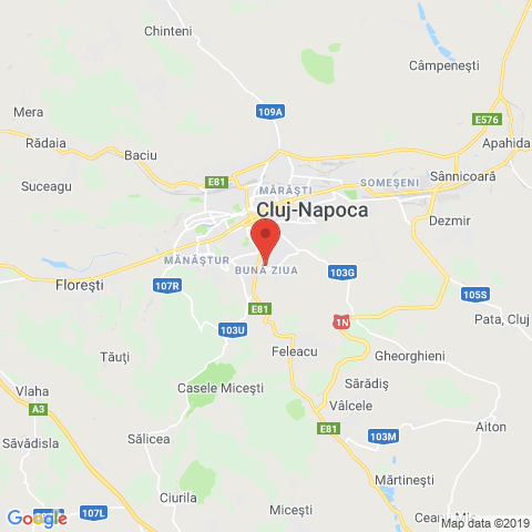 Cluj/Cheile Turzi, Cluj