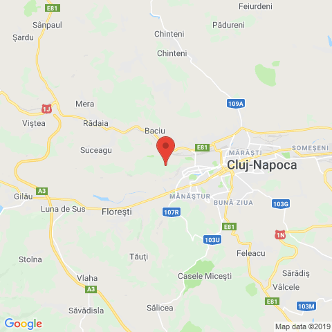 Cluj-Napoca, Cluj