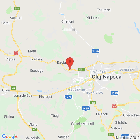 Cluj-Napoca, Cluj