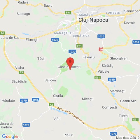 Casele Micesti, Cluj