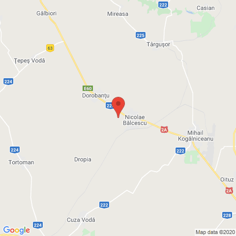 Nicolae Balcescu, Constanta