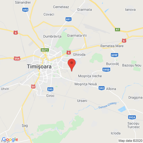 Timisoara, Timis