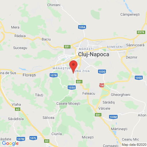 Cluj-Napoca, Cluj