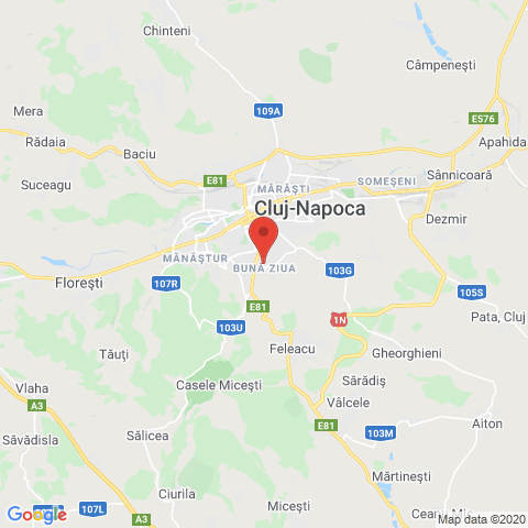 cluj napoca, Cluj
